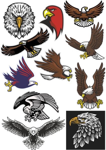 Kartal Sticker Set-1 11 Parça Telefon, Tablet, Defter, Laptop Sticker