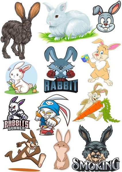 Tavşan Sticker Set-1 12 Parça Telefon, Tablet, Defter, Laptop Sticker
