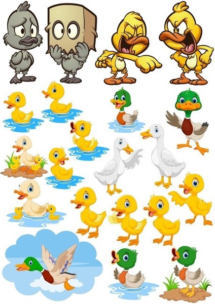 Ördek Temalı Sticker Set-2 18 Parça Telefon, Tablet, Defter, Laptop Sticker