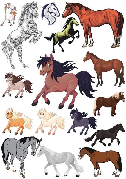 At Sticker Set-1 13 Parça Telefon, Tablet, Defter, Laptop Sticker