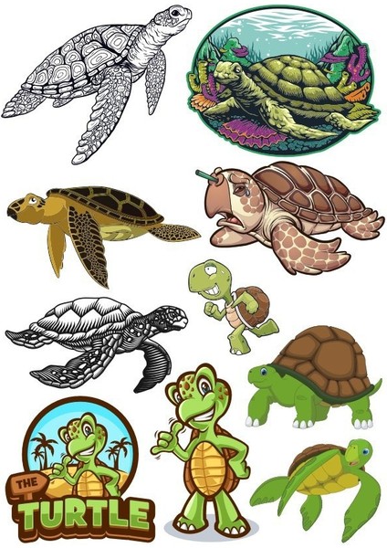 Kaplumbağa Sticker Set-1 10 Parça Telefon, Tablet, Defter, Laptop Sticker