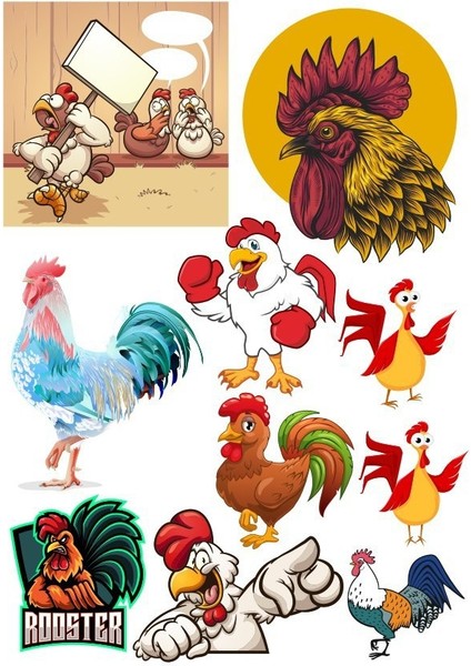 Horoz Sticker Set-1 13 Parça Telefon, Tablet, Defter, Laptop Sticker