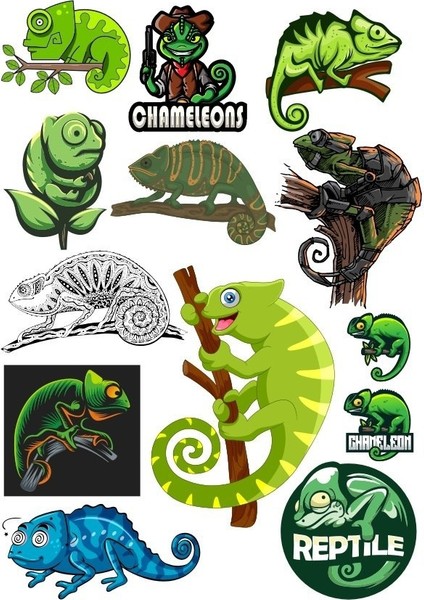 Iguana Sticker Set-1 13 Parça Telefon, Tablet, Defter, Laptop Sticker
