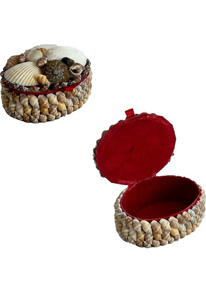 Deniz Kabuğu Kaplamalı Kutu 8X6X4CM - Mücevher Takı Kutusu