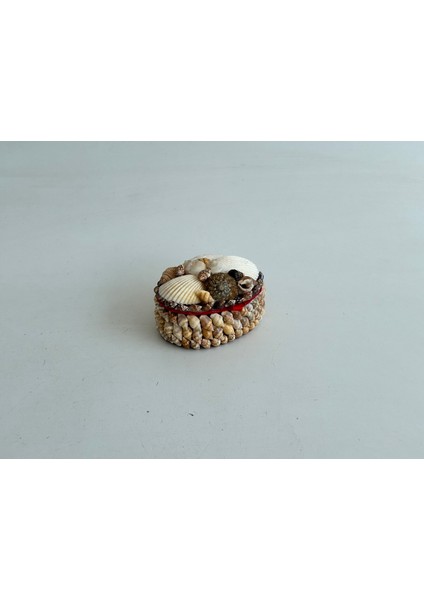 Deniz Kabuğu Kaplamalı Kutu 8X6X4CM - Mücevher Takı Kutusu fiyatları