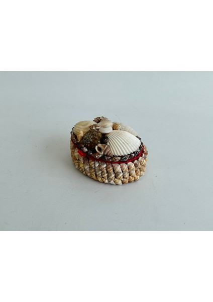 Deniz Kabuğu Kaplamalı Kutu 8X6X4CM - Mücevher Takı Kutusu indirimleri