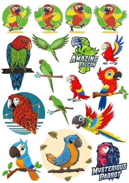 Papağan Sticker Set-2 17 Parça Telefon, Tablet, Defter, Laptop Sticker