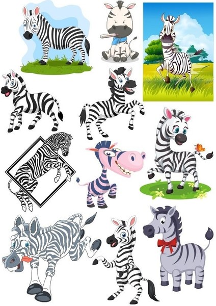 Zebra Sticker Set-2 12 Parça Telefon, Tablet, Defter, Laptop Sticker