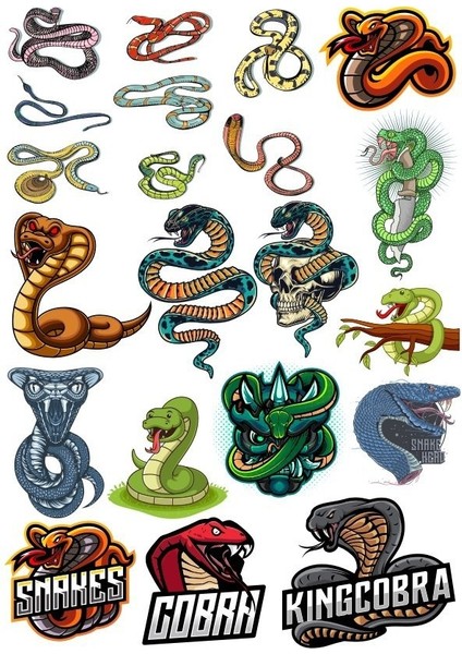 Yılan Cobra Sticker-2 17 Parça Telefon, Tablet, Defter, Laptop Sticker