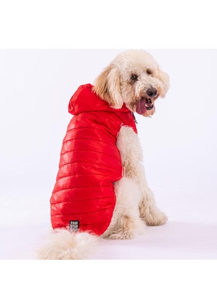 Railway Red Su Geçirmez Orta-Büyük Irk Köpek Yelek Yağmurluk