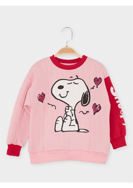 Lisanslı Çocuk Sweatshirt 21647