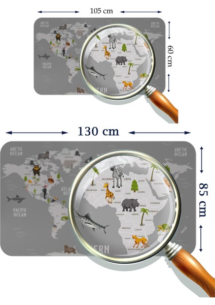 Eğitici Dünya Haritası Dünya Atlası Çocuk ve Bebek Odası Duvar STICKER-3794