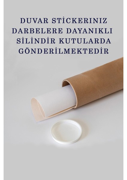 Eğitici Öğretici Dünya ve Türkiye Haritası Çocuk Odası Duvar Sticker 3891