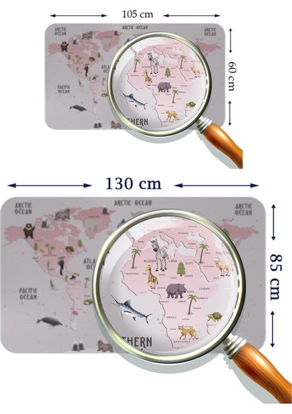 Eğitici Dünya Haritası Dünya Atlası Çocuk ve Bebek Odası Duvar STICKER-3798 modelleri