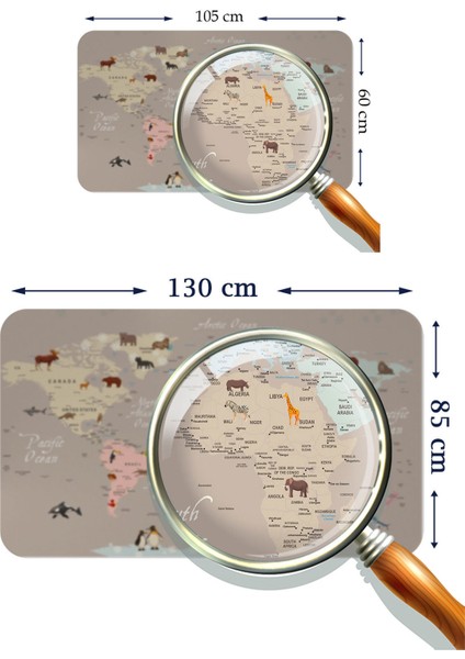 Eğitici Dünya Haritası Dünya Atlası Çocuk ve Bebek Odası Duvar STICKER 3817