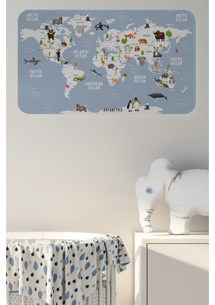 Eğitici Dünya Haritası Dünya Atlası Çocuk ve Bebek Odası Duvar Sticker 3789