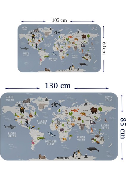Eğitici Dünya Haritası Dünya Atlası Çocuk ve Bebek Odası Duvar Sticker 3789 fiyatları