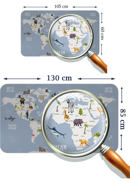 Eğitici Dünya Haritası Dünya Atlası Çocuk ve Bebek Odası Duvar Sticker 3789 modelleri