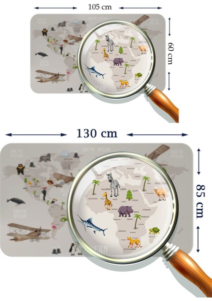 Eğitici Dünya Haritası Dünya Atlası Çocuk ve Bebek Odası Duvar STICKER-3997 modelleri