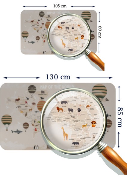 Eğitici Dünya Haritası Dünya Atlası Çocuk ve Bebek Odası Duvar Sticker 3792