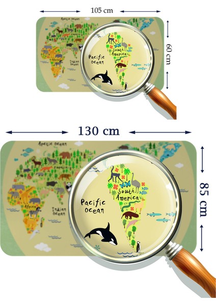 Eğitici Dünya Haritası Dünya Atlası Çocuk ve Bebek Odası Duvar STICKER-3773 modelleri