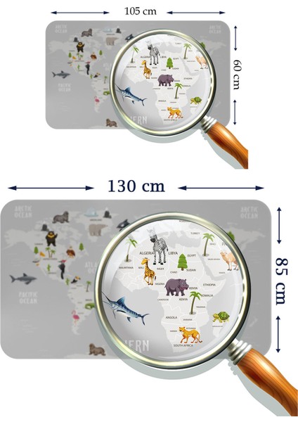 Eğitici Dünya Haritası Dünya Atlası Çocuk ve Bebek Odası Duvar STICKER-3790 modelleri