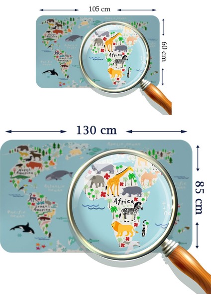 Eğitici Dünya Haritası Dünya Atlası Çocuk ve Bebek Odası Duvar STICKER-3771 modelleri