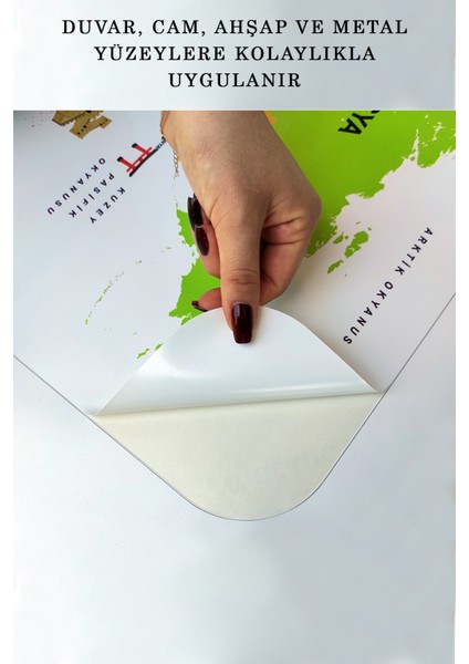 Eğitici Dünya Haritası Dünya Atlası Çocuk ve Bebek Odası Duvar STICKER 3810