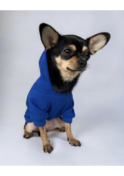 Blue Lion Köpek Sweatshirt Hoodie Köpek Kazağı Köpek Kıyafeti