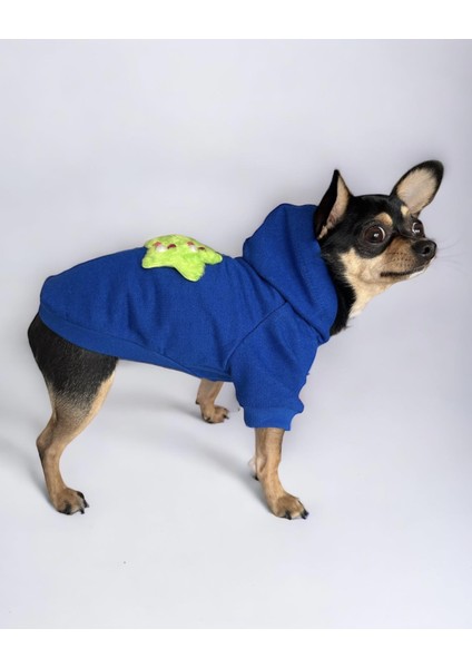 Green Stars Köpek Sweatshirt Hoodie Köpek Kazağı Köpek Kıyafeti