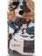 Xiaomi Mi A1 / 5x Kılıf Hd Baskılı Kılıf - Followed Institution 0460 1