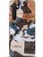 Xiaomi Mi Note 10 Lite Kılıf Hd Baskılı Kılıf - Followed Institution 0460 1