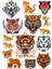 Kaplan Sticker Set -2 15 Parça Telefon, Tablet, Defter, Laptop Sticker 1