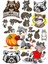 Racun Sticker Set-1 15 Parça Telefon, Tablet, Defter, Laptop Sticker 1