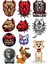 Köpek Pitbull Sticke Set 11 Parça Telefon, Tablet, Defter, Laptop Sticker 1