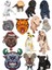 Köpek Sticker Set-3 13 Parça Telefon, Tablet, Defter, Laptop Sticker 1