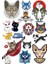 Kediler Sticker Set-6 13 Parça Telefon, Tablet, Defter, Laptop Sticker 1