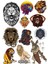 Aslan Sticker Set -5 12 Parça Telefon, Tablet, Defter, Laptop Sticker 1