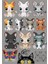 Kedi Sticker Set-3 15 Parça Telefon, Tablet, Defter, Laptop Sticker 1