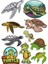 Kaplumbağa Sticker Set-1 10 Parça Telefon, Tablet, Defter, Laptop Sticker 1