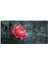 Kaymaz Deri Taban Tezgah Önü Mutfak Paspası 75X150 cm No: 707 2