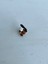 El Yapımı Mini Murano Cam Geyik Biblo A122-02 3