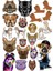Köpek Sticker Set 11 25 Parça Telefon, Tablet, Defter, Laptop Sticker 1