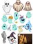 Hayalet Sticker Set-2 17 Parça Telefon, Tablet, Defter, Laptop Sticker 1