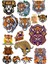 Kaplan Sticker Set 7 17 Parça Telefon, Tablet, Defter, Laptop Sticker 1