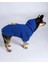 Blue Lion Köpek Sweatshirt  Hoodie  Köpek Kazağı  Köpek Kıyafeti 3