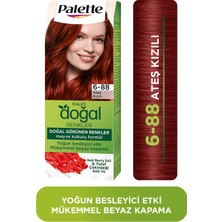 Palette Kalıcı Doğal Renkler 6-88 Ateş Kızılı Saç Boyası Goji Berry Özü & Yulaf Çekirdeği Özü ile