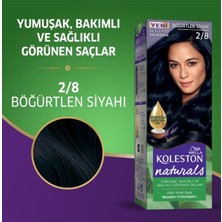 Night Shop Naturals Saç Boyası Böğürtlen Siyahı 2/8 2x Paket