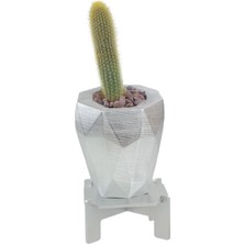 Stein Kohle Ayaklı Saksı Ahşap Büyük Boy 1 Adet Uygulamalı Uzun Poly Model