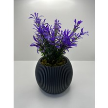 Mini Saksıda Afrika Zambağı Yapay Bitki Gerçek Taş Yosunlu 18 cm Dekoratif Banyo Mutfak Masa Çiçeği